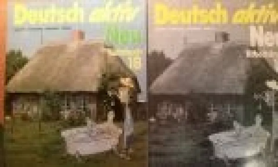 Deutsch aktiv Neu, 2 knygos - Gerd Neuner, knyga