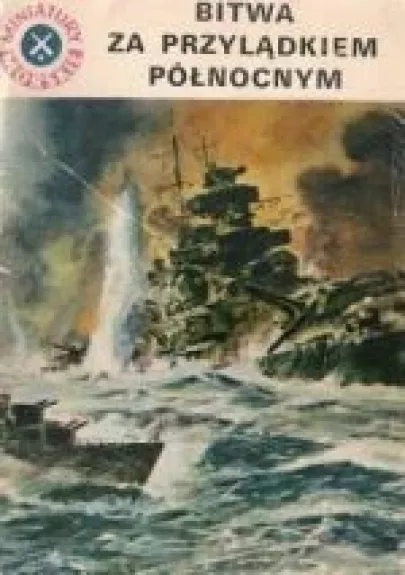 Bitwa za Przylądkiem Północnym