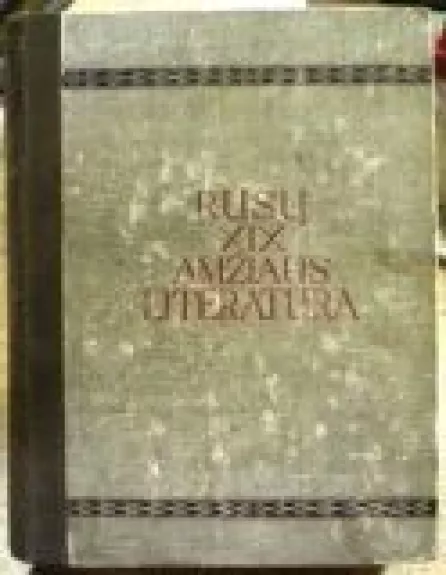 Rusų XIX amžiaus literatūra - S. M. Petrovas, knyga