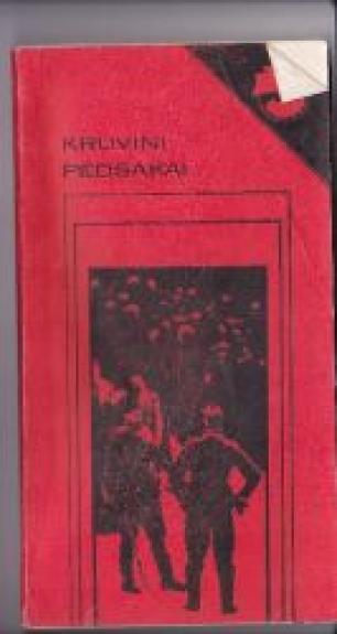 Kruvini pėdsakai: SS atgimimas - J. Pomorinas, ir kiti , knyga