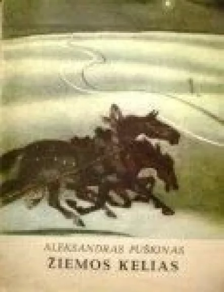 Žiemos kelias - Aleksandras Puškinas, knyga