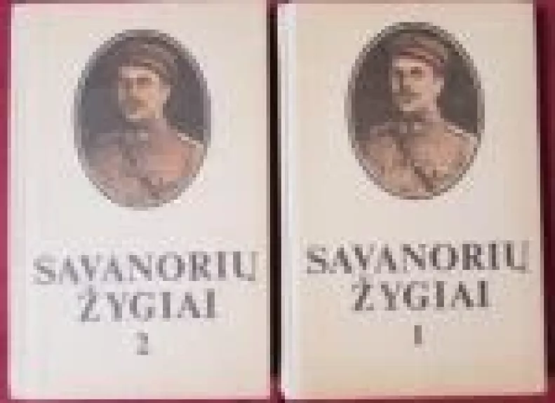 Savanorių žygiai (2 knygos) - Petras Ruseckas, knyga