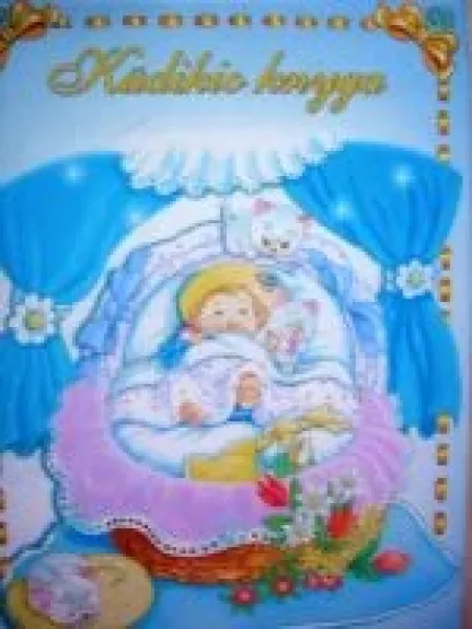 Kūdikio knyga - Birutė Sabonienė, knyga