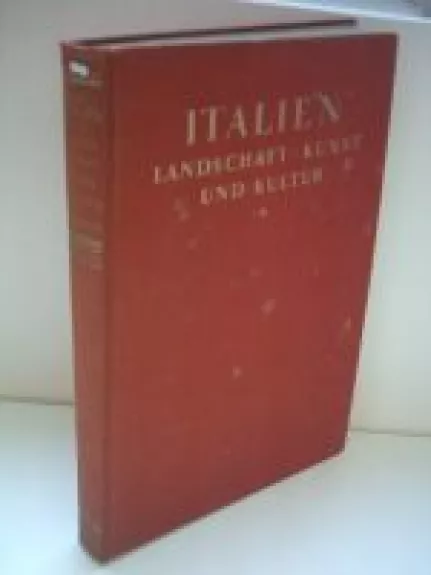 Italien - Landschaft, Kunst und Kultur - C. W. Schmidt, knyga