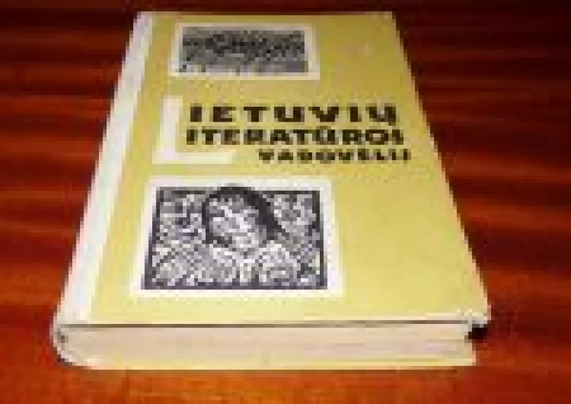 Lietuvių literatūros vadovėlis XI klasei - L. Šepkus, knyga