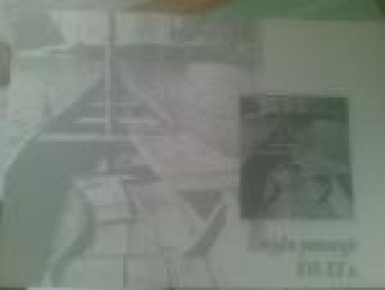 Žvejyba pamaryje XVI-XX a.