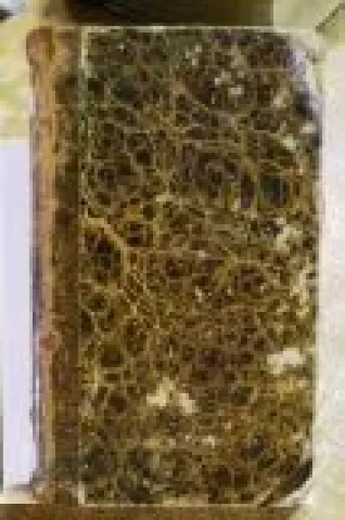 Приключения по смерти в трех частях (1 часть)