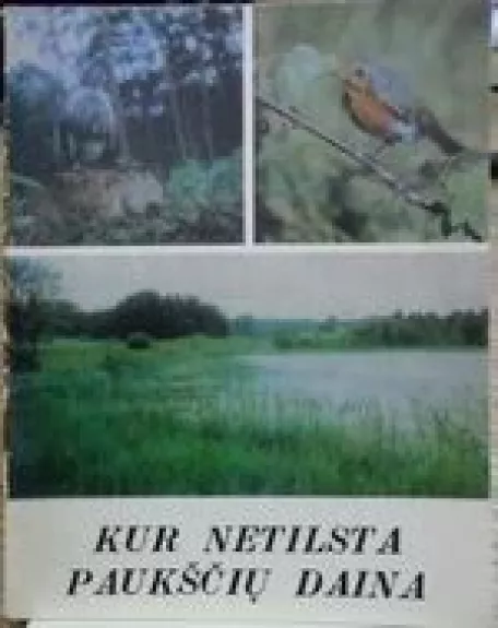 Kur netilsta paukščių daina