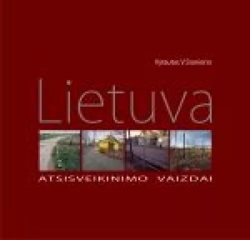 Lietuva. Atsisveikinimo vaizdai - Vytautas V. Stanionis, knyga