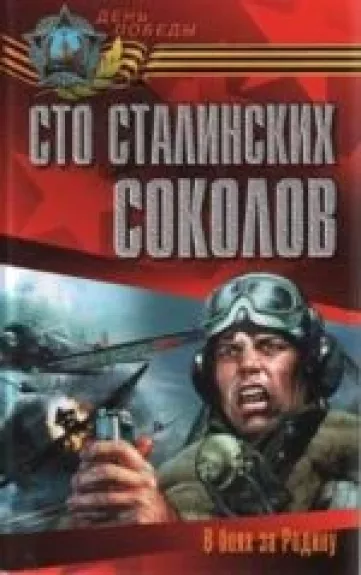 Сто сталинских соколов. В боях за Родину