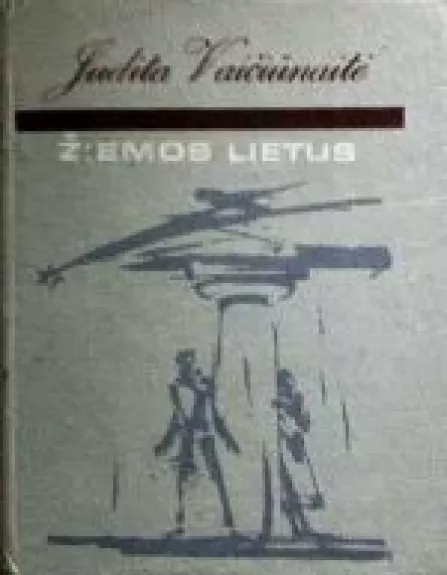 Žiemos lietus - Judita Vaičiūnaitė, knyga