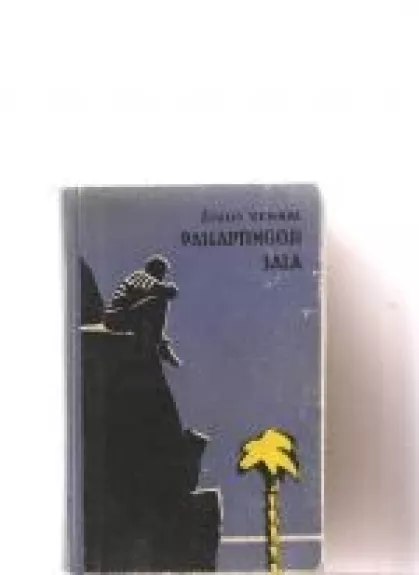 Paslaptingoji sala - Žiulis Vernas, knyga