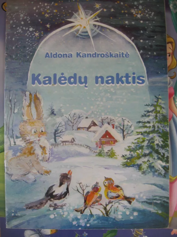 Kalėdų naktis - Aldona Kandrošaitė, knyga