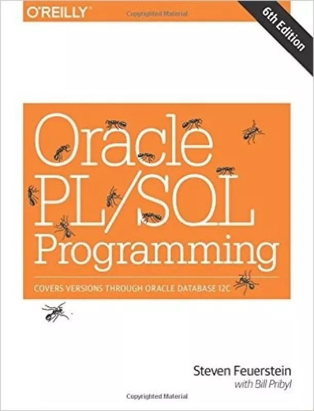 Oracle PL/SQL Programming 6th Edition - Autorių Kolektyvas, knyga