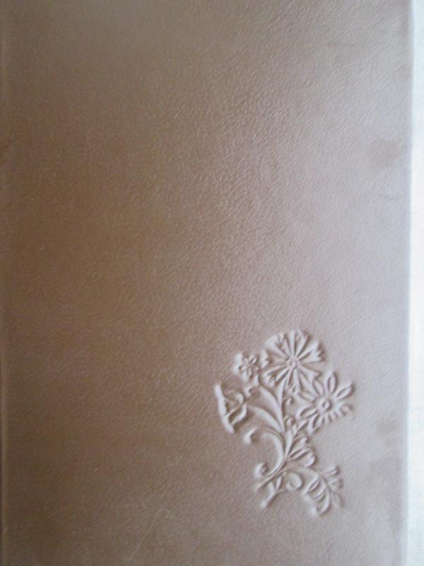 Senosios pilies vaiduokliai - Raymund Hunter, knyga 3