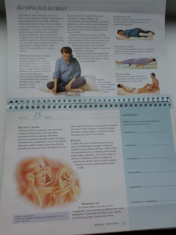 Nėštumo kalendorius - Jane MacDougall, knyga