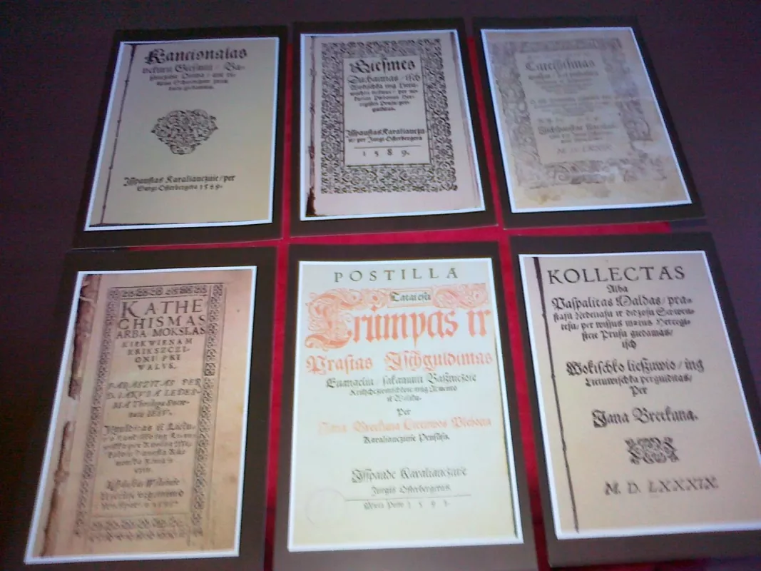 XVI amžiaus lietuviškos knygos - Autorių Kolektyvas, knyga