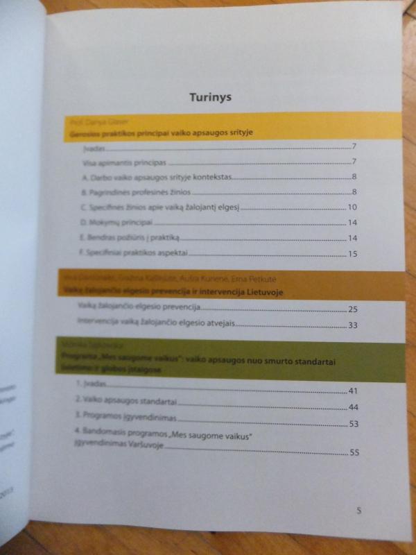 Vaiką žalojantis elgesys: ką rodo tyrimas ir prevencinės praktikos pavyzdžiai? - Autorių Kolektyvas, knyga 4