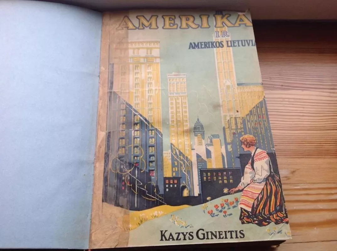 Amerika ir Amerikos lietuviai - Kazys Gineitis, knyga