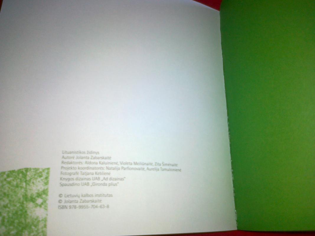 Lituanistikos židinys. Kalbos muziejus - J. Zabarskaitė, knyga 2