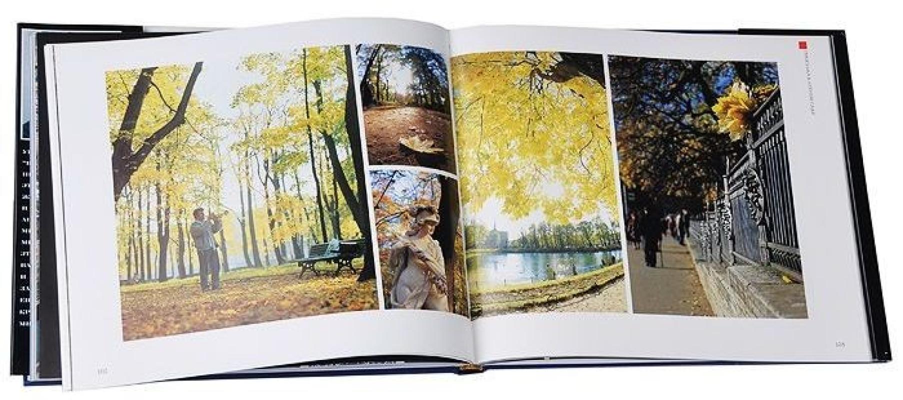 Виват Санкт-Петербург! - Анатолий Медведников, knyga 3