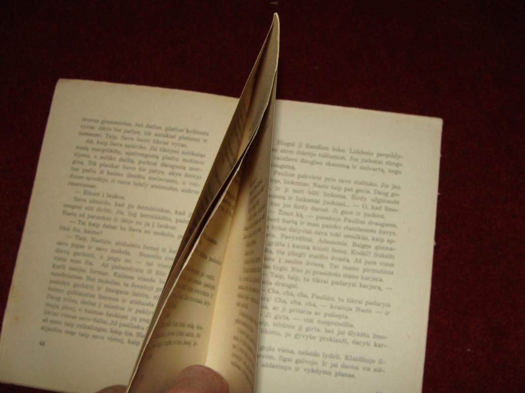 Pažadėtoji žemė - Jonas Vytautas Narbutas, knyga