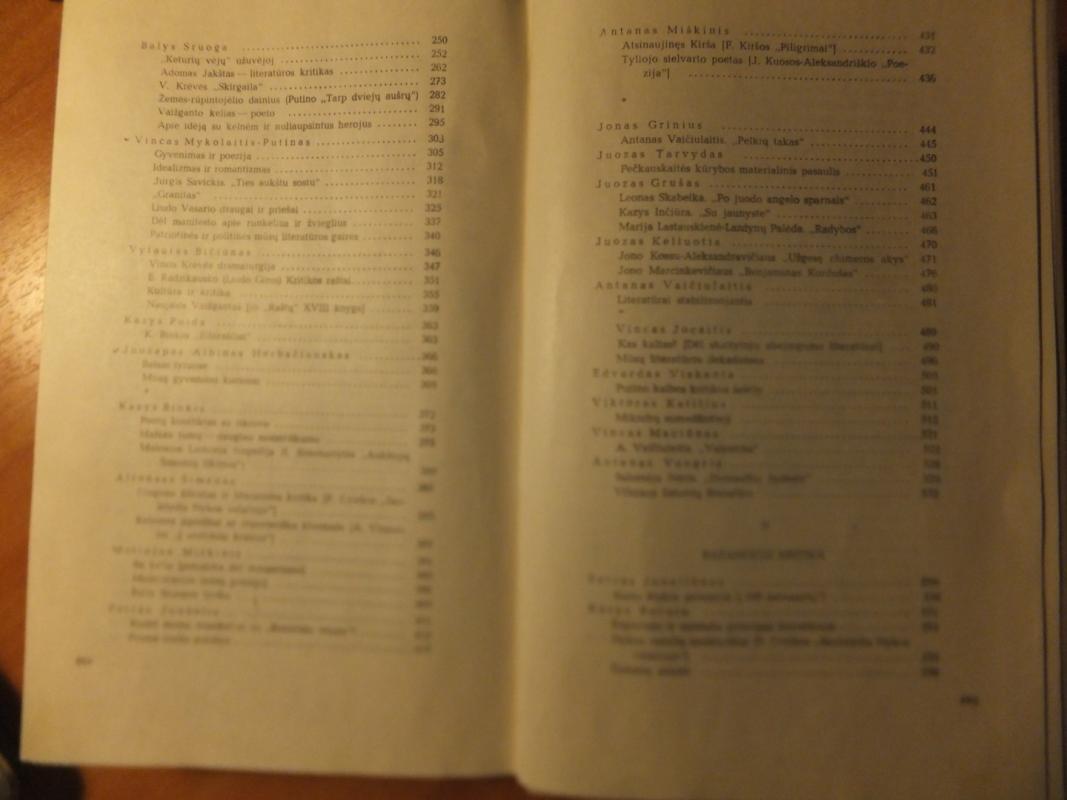 Lietuvių literatūros kritika (II dalis) - Autorių Kolektyvas, knyga 4