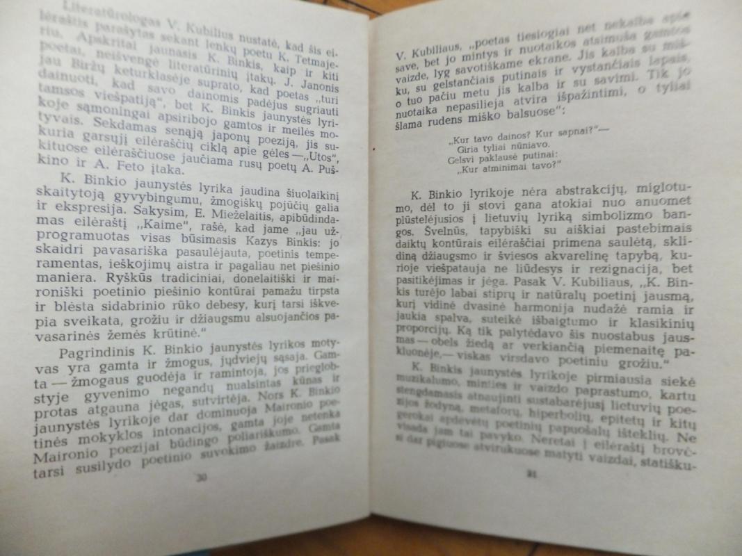 Kazys Binkis - Vincas Kuzmickas, knyga 4