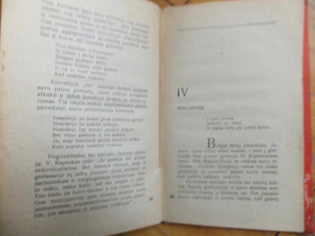 Julius Janonis - Melvin Burgess, knyga 6