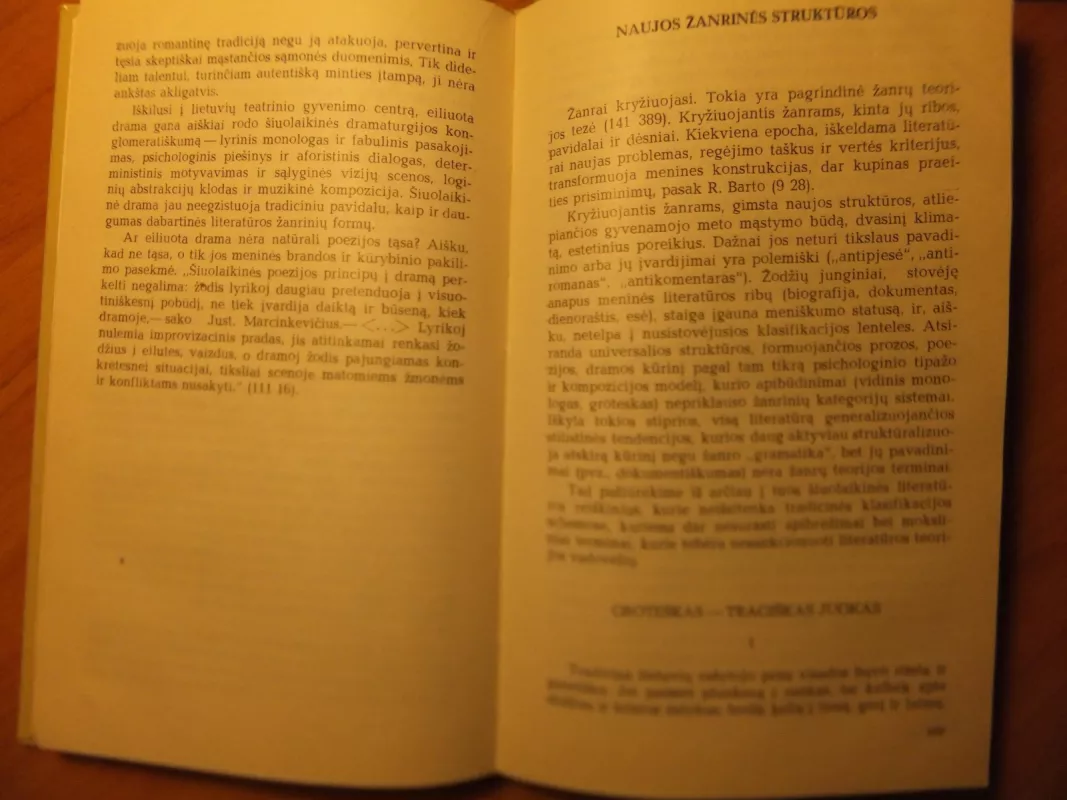 Žanrų kaita ir sintezė - Vytautas Kubilius, knyga 4