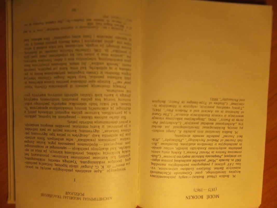 Poetika ir literatūros estetika (2 knyga) - Autorių Kolektyvas, knyga 4