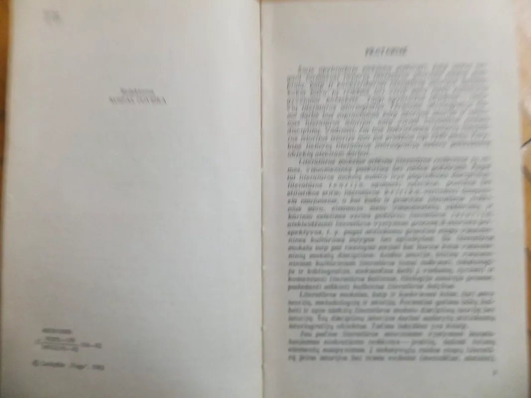 Lietuvių literatūros istoriografija (ligi 1940 m.) - Leonas Gineitis, knyga 4