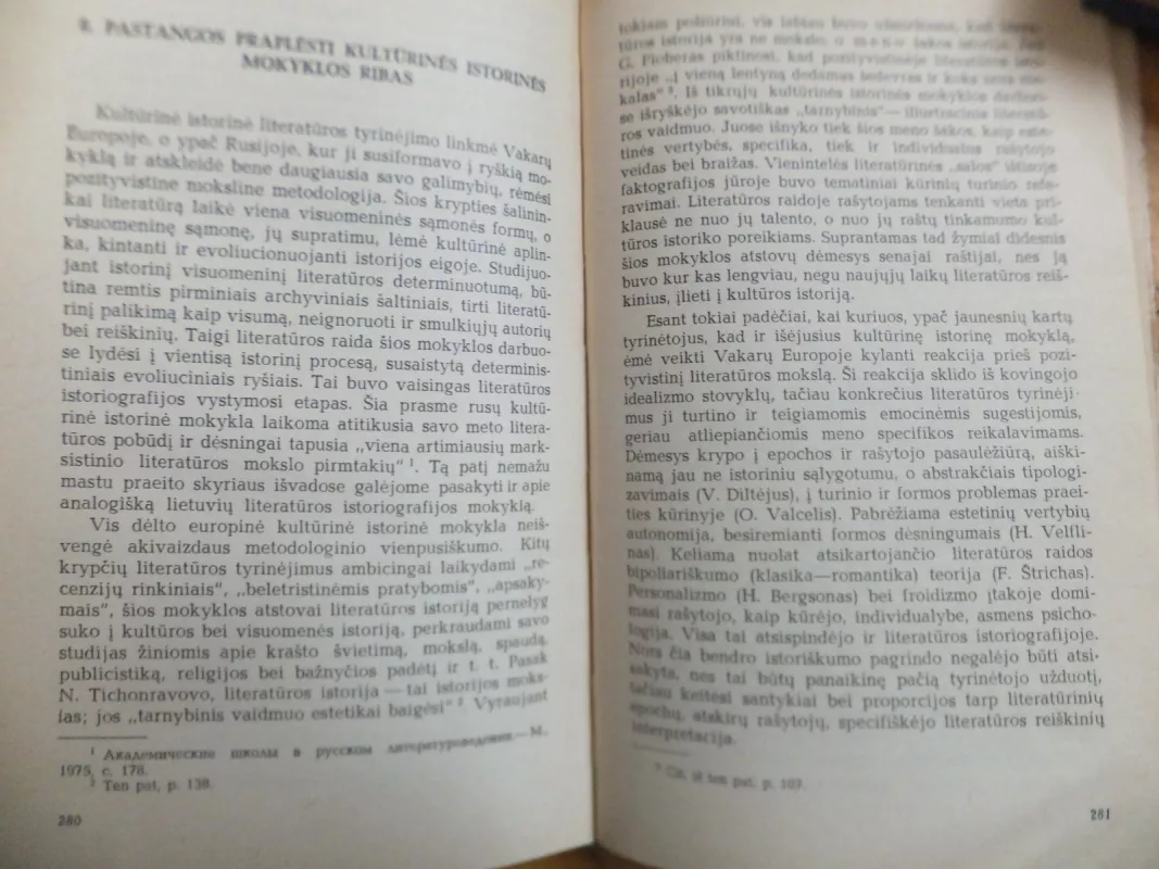 Lietuvių literatūros istoriografija (ligi 1940 m.) - Leonas Gineitis, knyga 3