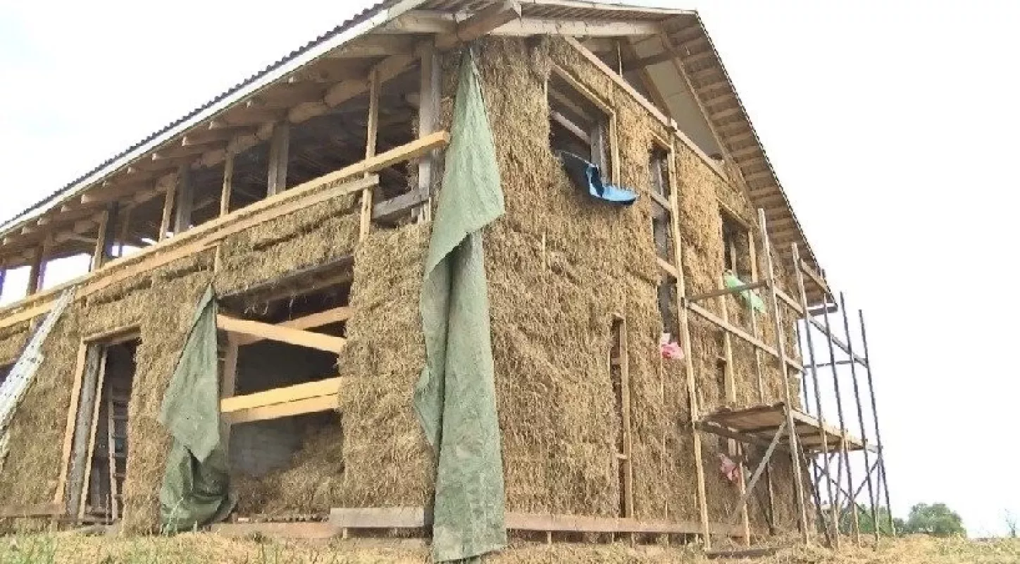 Šiaudiniai namai - Edita Milutienė, knyga