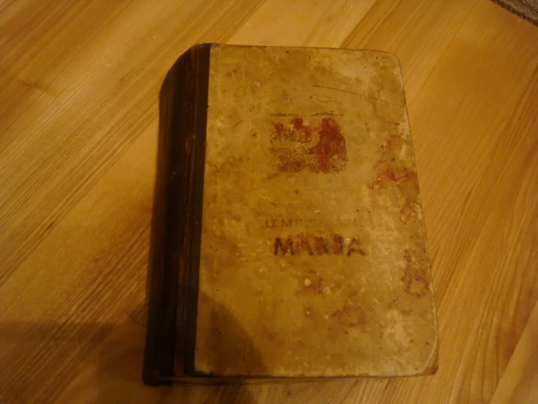 Marja - G. Medynskis, knyga 3