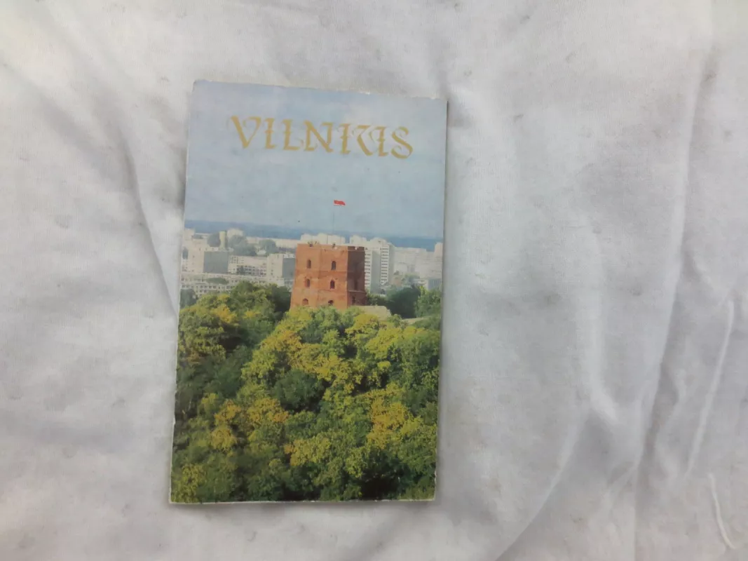 VILNIUS - A. Medonis, knyga