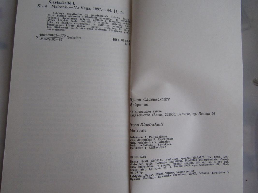 Maironis - Irena Slavinskaitė, knyga 4
