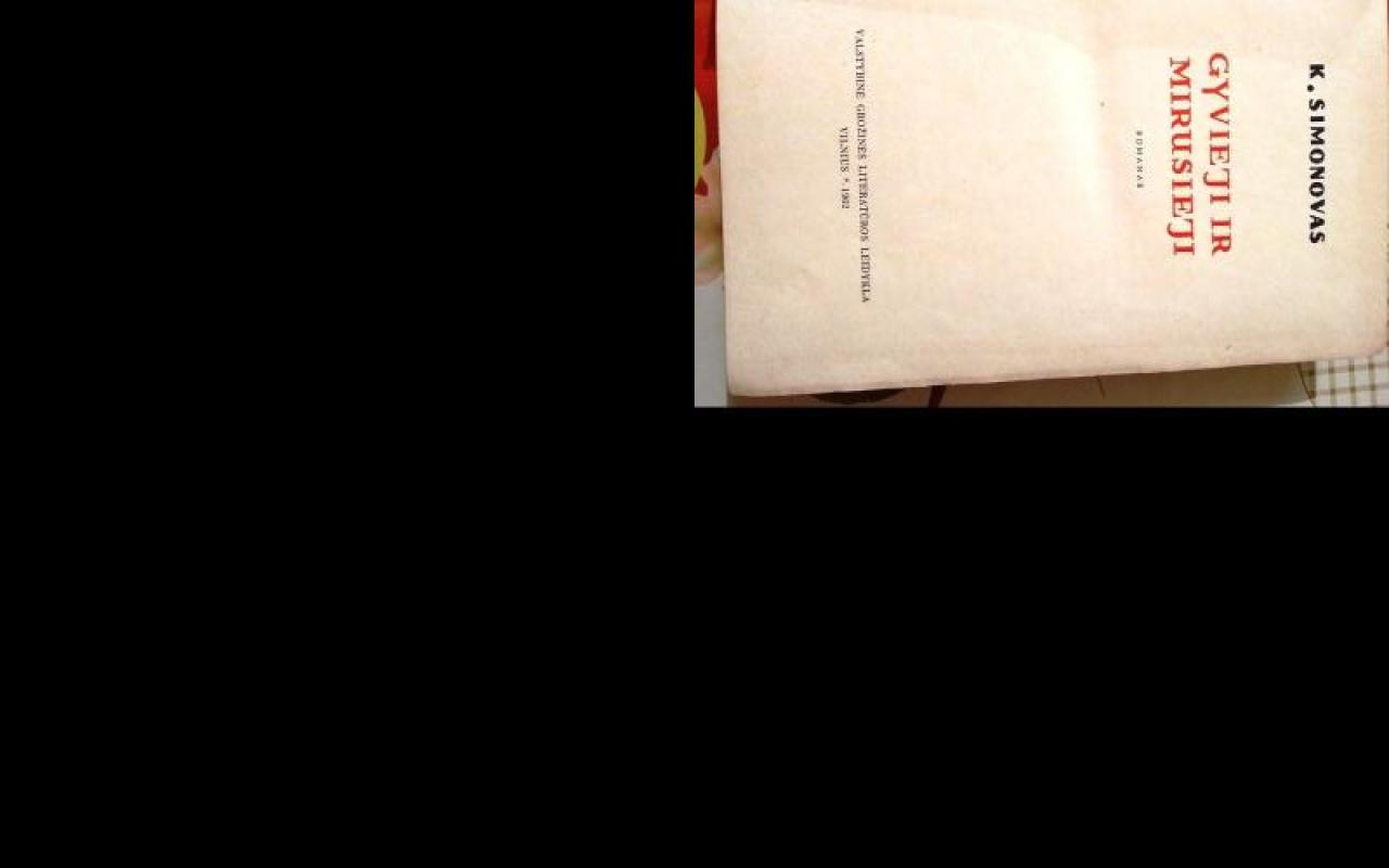 Gyvieji ir mirusieji - Konstantinas Simonovas, knyga 3