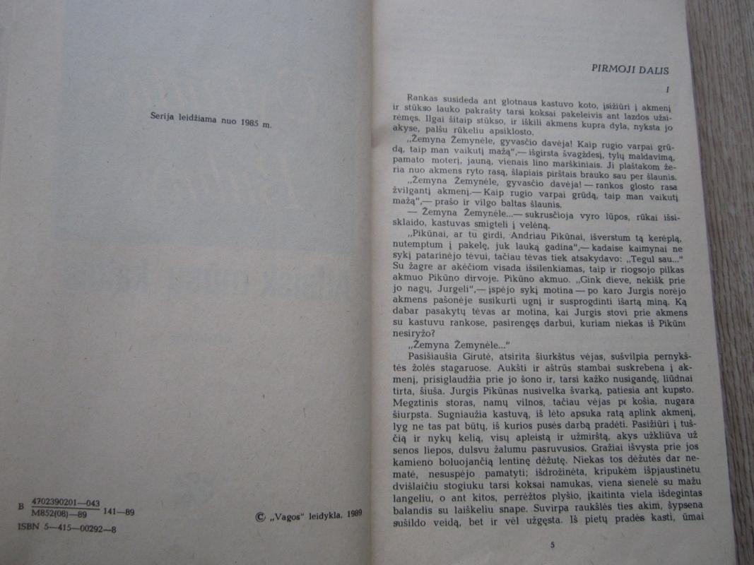 Atleisk mūsų kaltes - Vytautas Bubnys, knyga 4