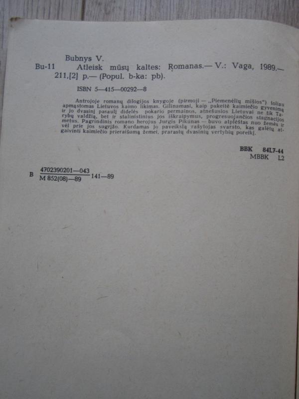 Atleisk mūsų kaltes - Vytautas Bubnys, knyga 6