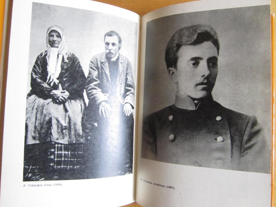 Povilas Višinskis - Adolfas Sprindis, knyga 5