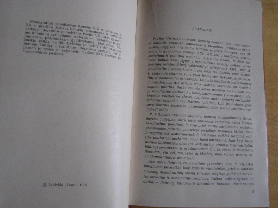 Povilas Višinskis - Adolfas Sprindis, knyga 4