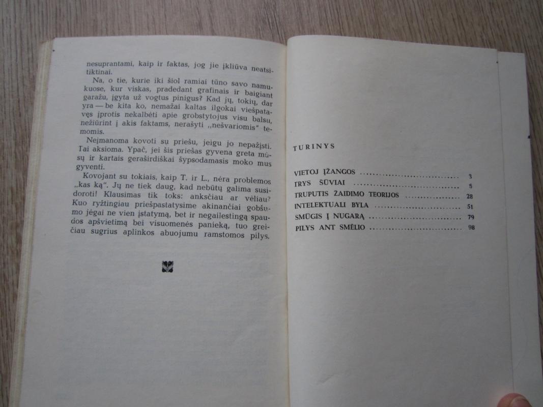 Pilys ant smėlio - B. Mackonytė, knyga 5