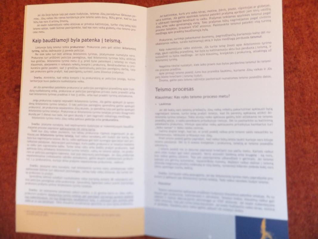 Kai vaikas liudija teisme - Autorių Kolektyvas, knyga 3