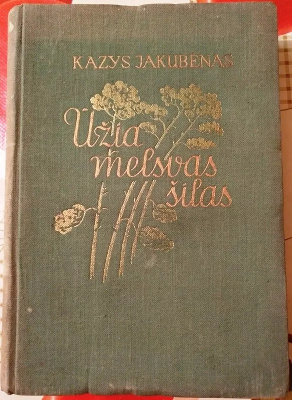 Ūžia melsvas šilas - Kazys Jakubėnas, knyga