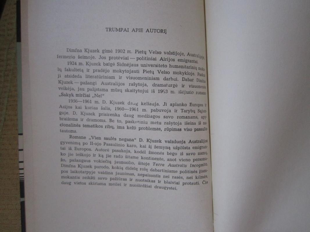 Vien saulės negana - Dimfna Kjuzek, knyga 5