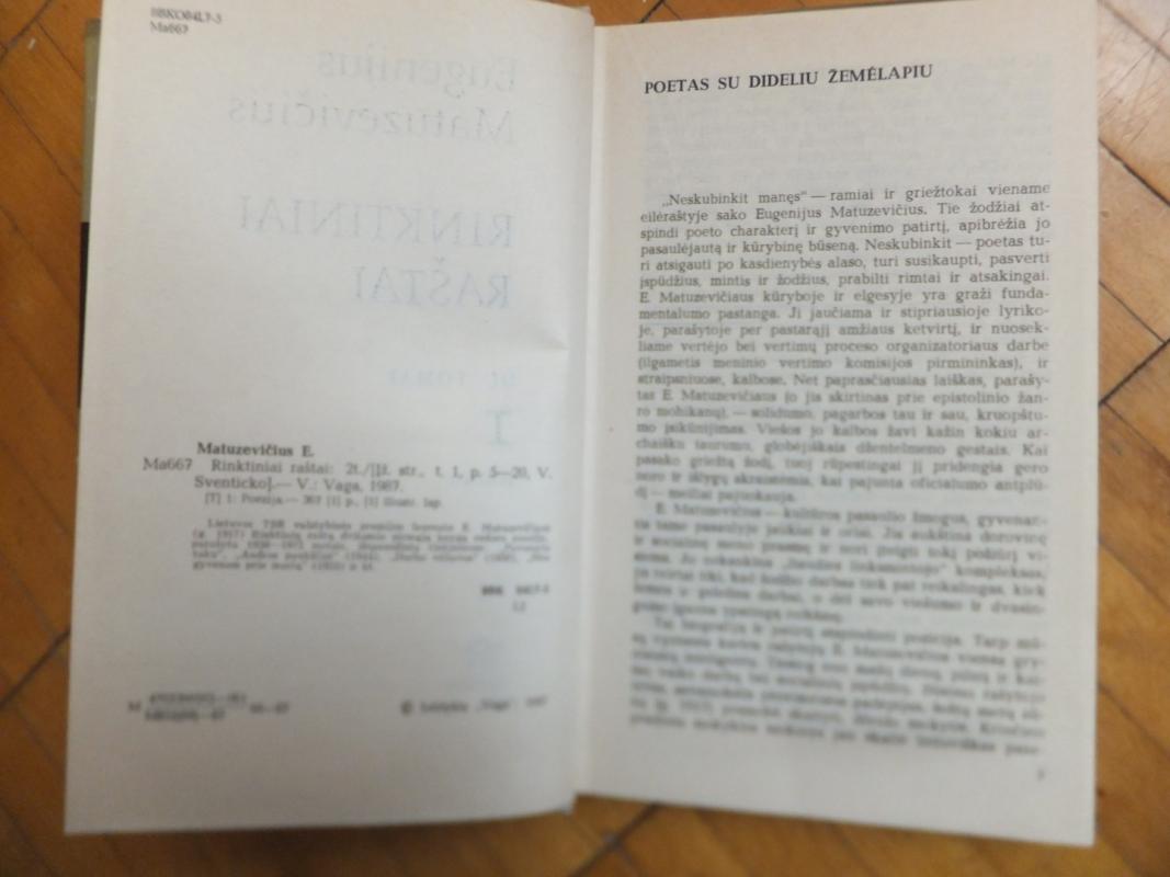 Rinktiniai raštai (I tomas) - Eugenijus Matuzevičius, knyga 6