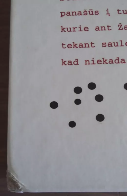 Musės. Palėpė - Leonardas Gutauskas, knyga