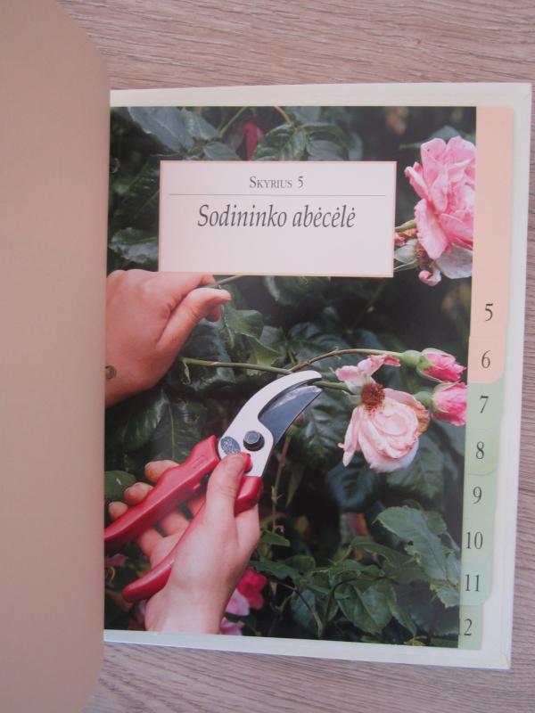 Mano svajonių sodas - Autorių Kolektyvas, knyga 6