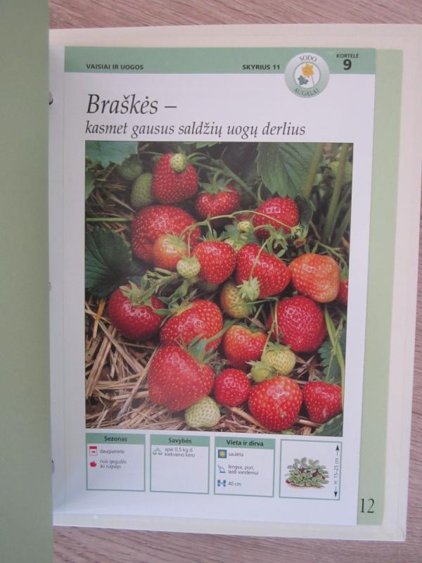 Mano svajonių sodas - Autorių Kolektyvas, knyga 5